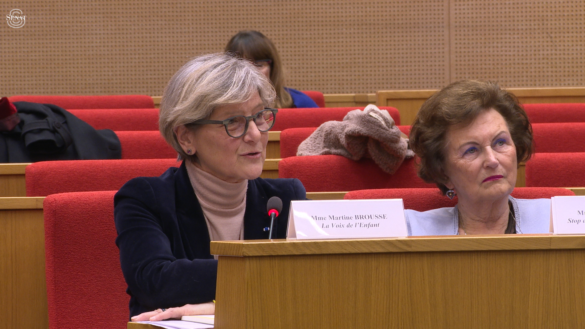 Bilan d’étape de la MCI « Infractions sexuelles commises sur mineurs »