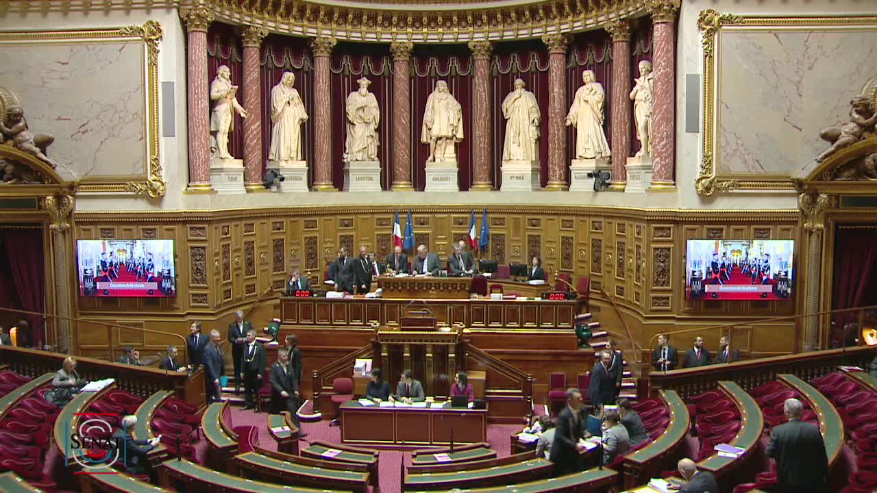 Séance publique du 29 janvier 2019 (après-midi)