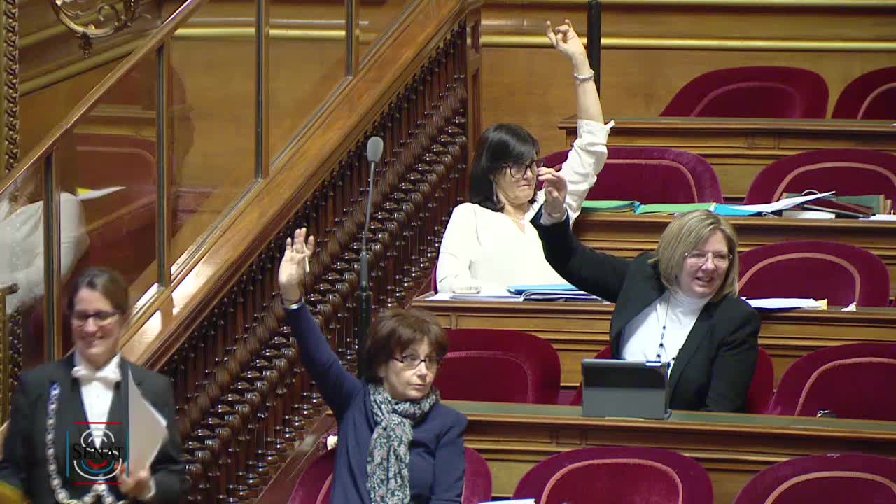 Séance publique du 29 janvier 2019 (soir)