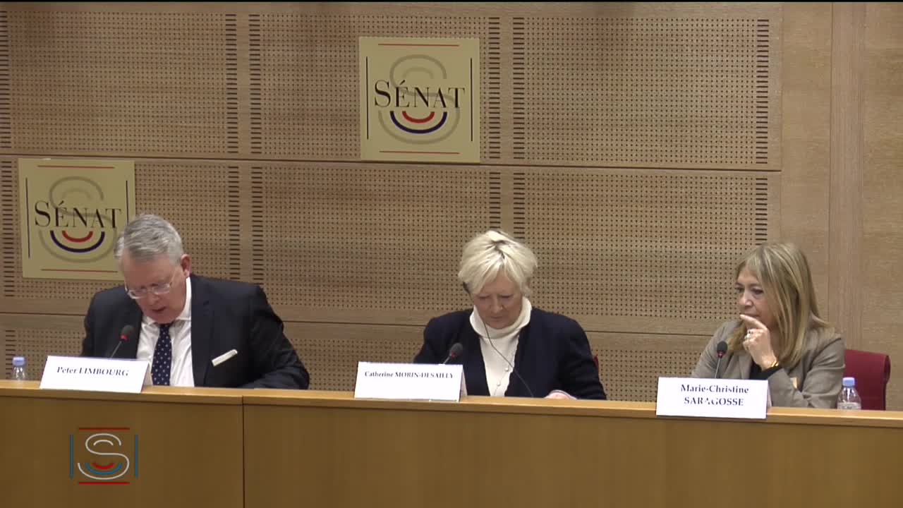 Audiovisuel extérieur en Europe - Audition de Mme Marie-Christine Saragosse et M. Peter Limbourg