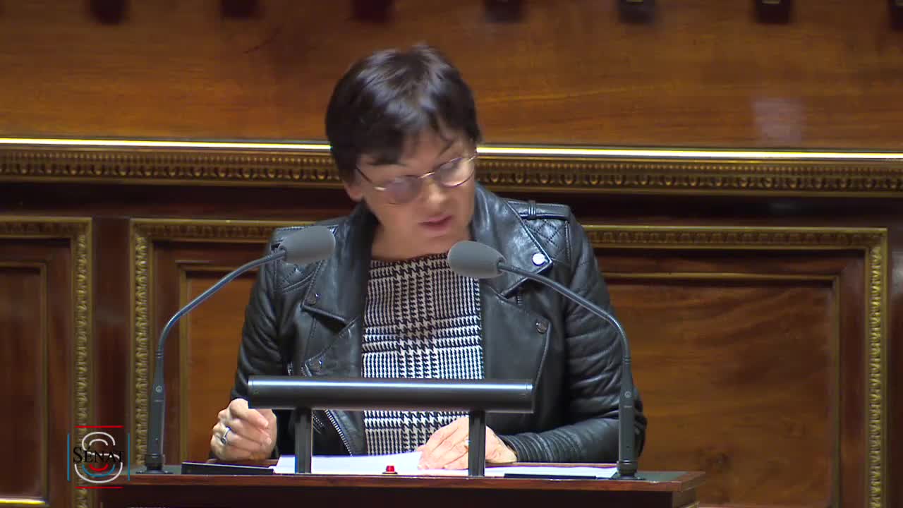 Séance publique du 13 février 2019 (après-midi)