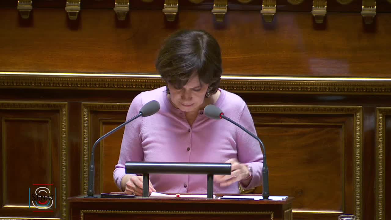 Séance publique du 21 février 2019 (après-midi)