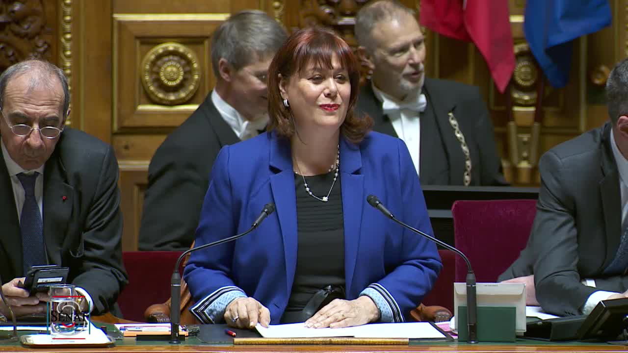 Séance publique du 7 mars 2019 (après-midi)