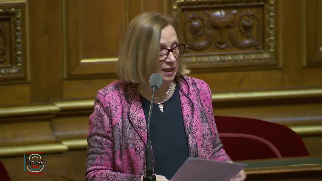 Séance publique du 14 mars 2019 (après-midi)