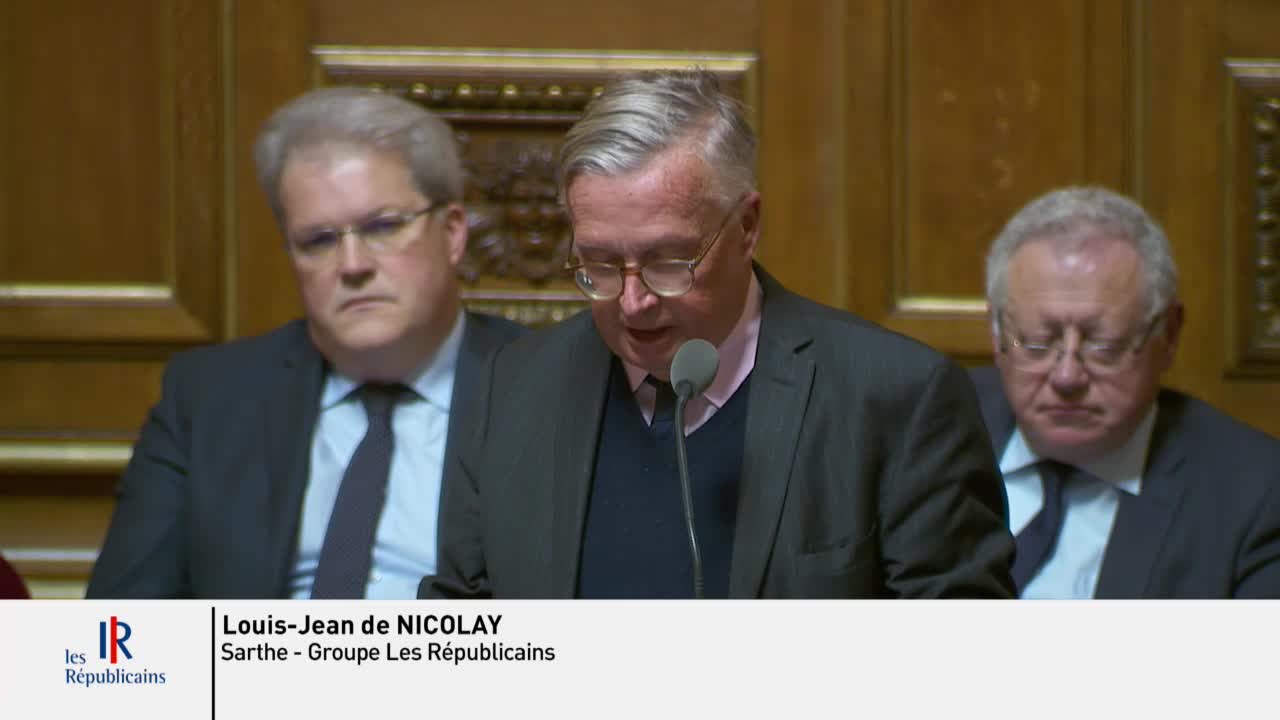 Séance publique du 14 mars 2019 (après-midi)
