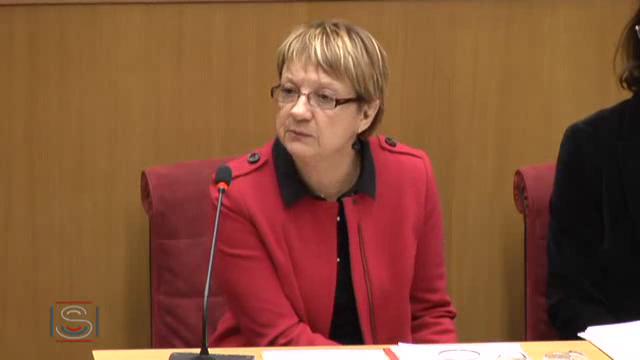 Délégation aux droits des femmes et à l'égalité des chances entre les hommes et les femmes - Violences à l'égard des femmes dans les zones de conflit