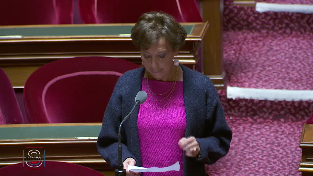 Séance publique du 19 mars 2019 (matin)