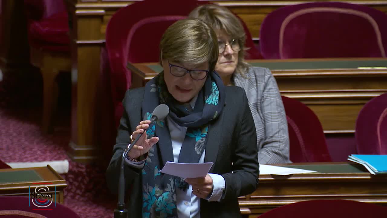 Séance publique du 19 mars 2019 (matin)