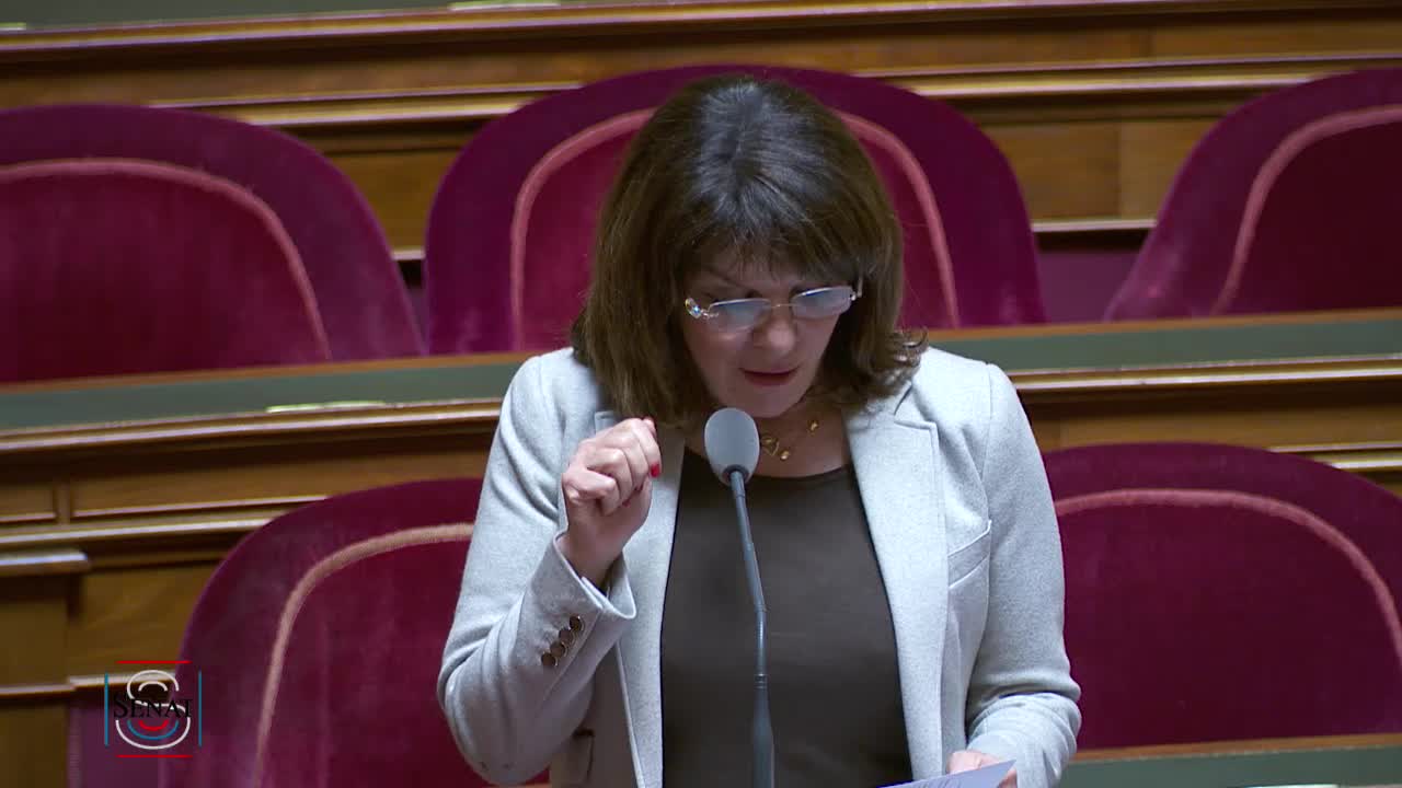 Séance publique du 19 mars 2019 (matin)
