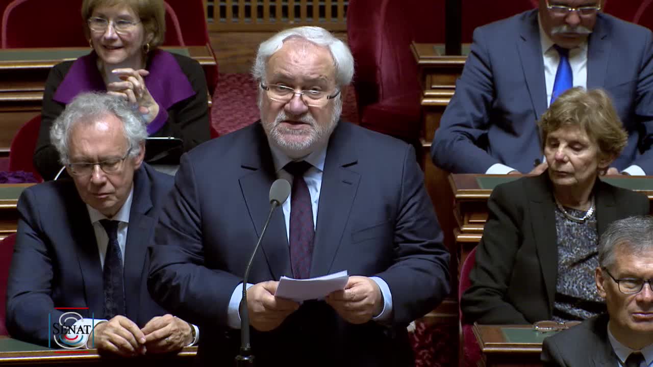 Séance publique du 21 mars 2019 (après-midi)