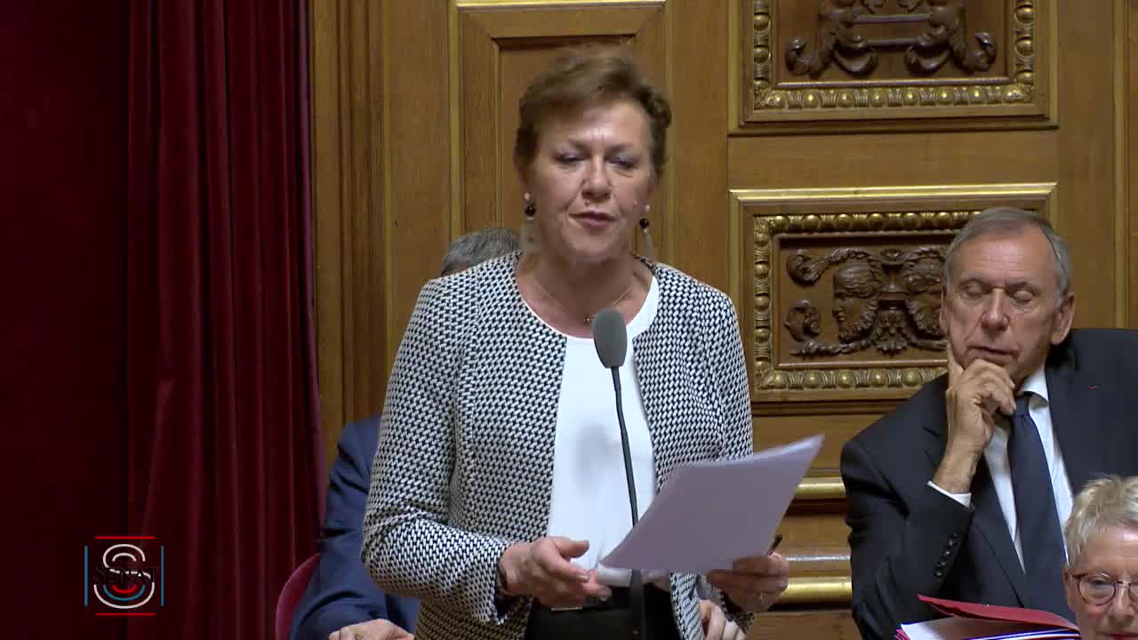 Séance publique du 21 mars 2019 (après-midi)