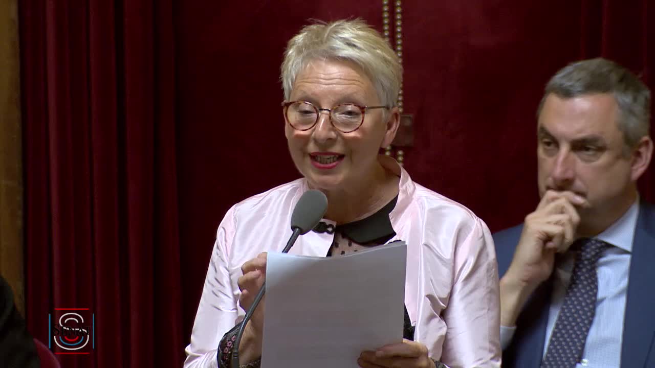 Séance publique du 21 mars 2019 (après-midi)