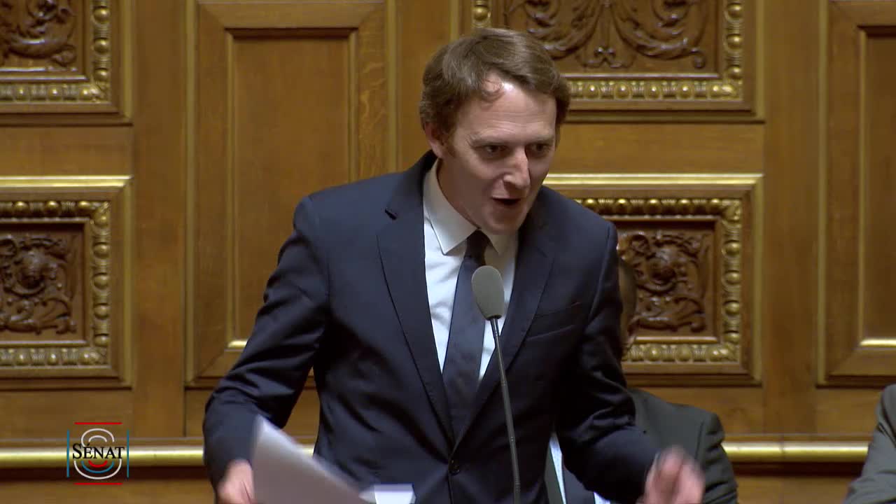Séance publique du 21 mars 2019 (après-midi)