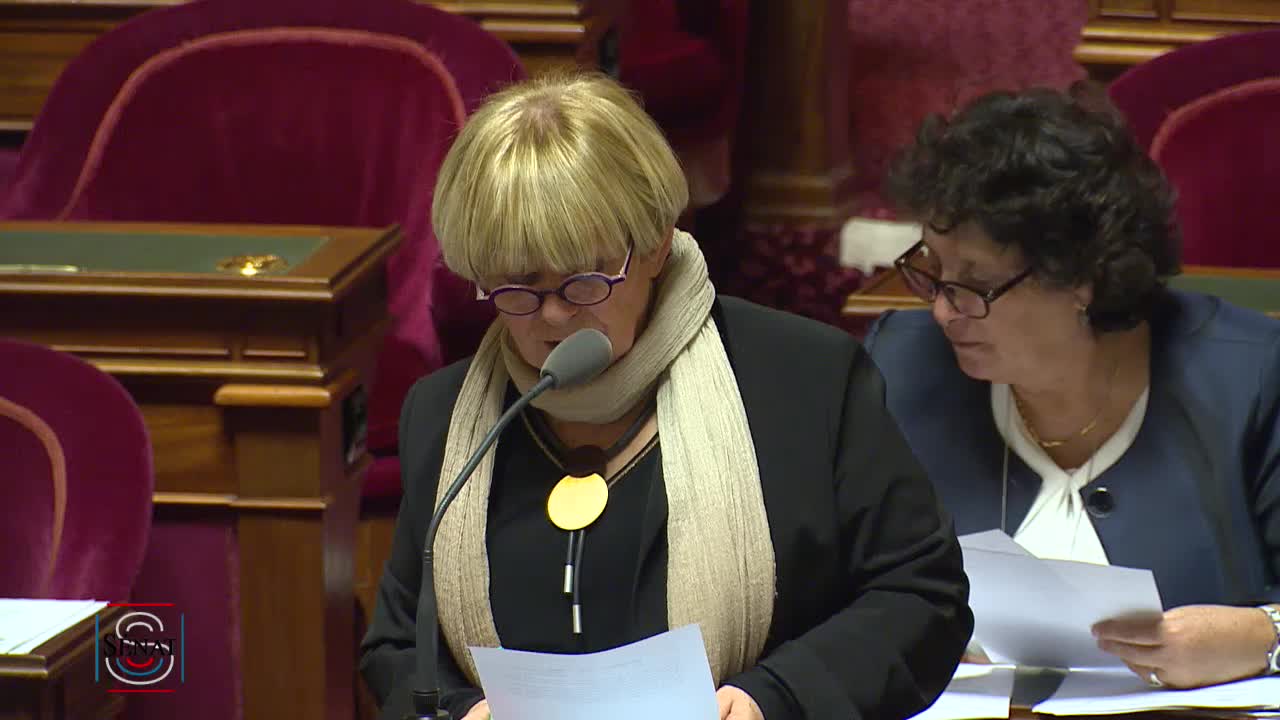 Séance publique du 21 mars 2019 (soir)