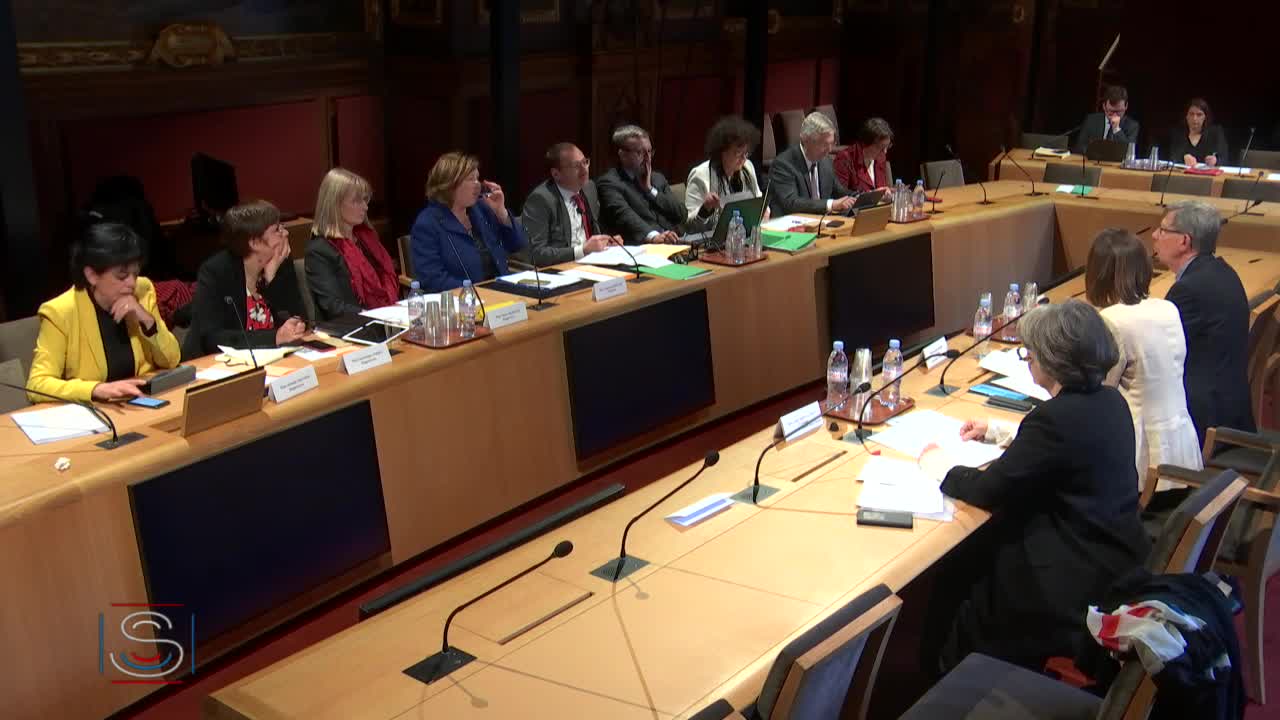 Audition de représentants de l'Enfant bleu, de la Fédération des comités Alexis Danan et l'association L'Ange Bleu.