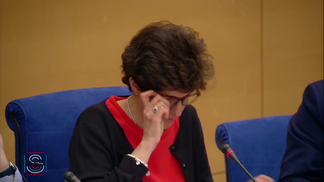Groupe de suivi "Brexit", audition de Mme Sylvie Goulard, sous-gouverneure de la Banque de France, sur les impacts du Brexit sur le secteur financier