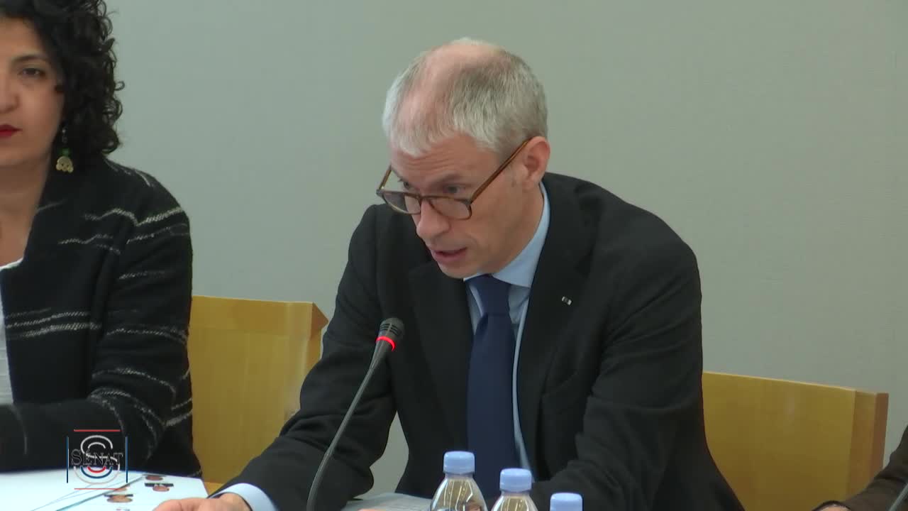 Audition plénière de M. Franck Riester, ministre de la culture - PJL Modernisation de la distribution de la presse