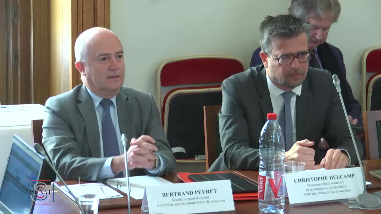 Audition plénière - Le risque cyber dans les domaines économique et financier