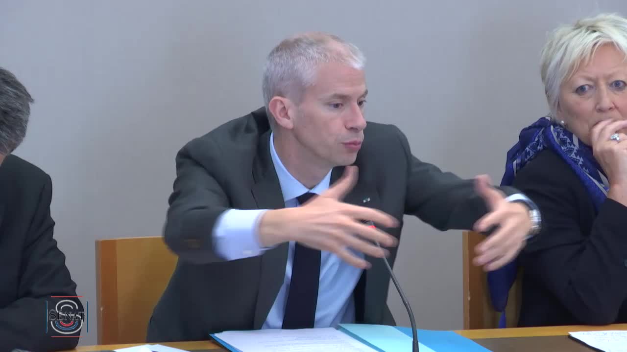 Audition plénière de M. Franck Riester, ministre de la culture - PJL pour la restauration et la conservation de Notre-Dame de Paris