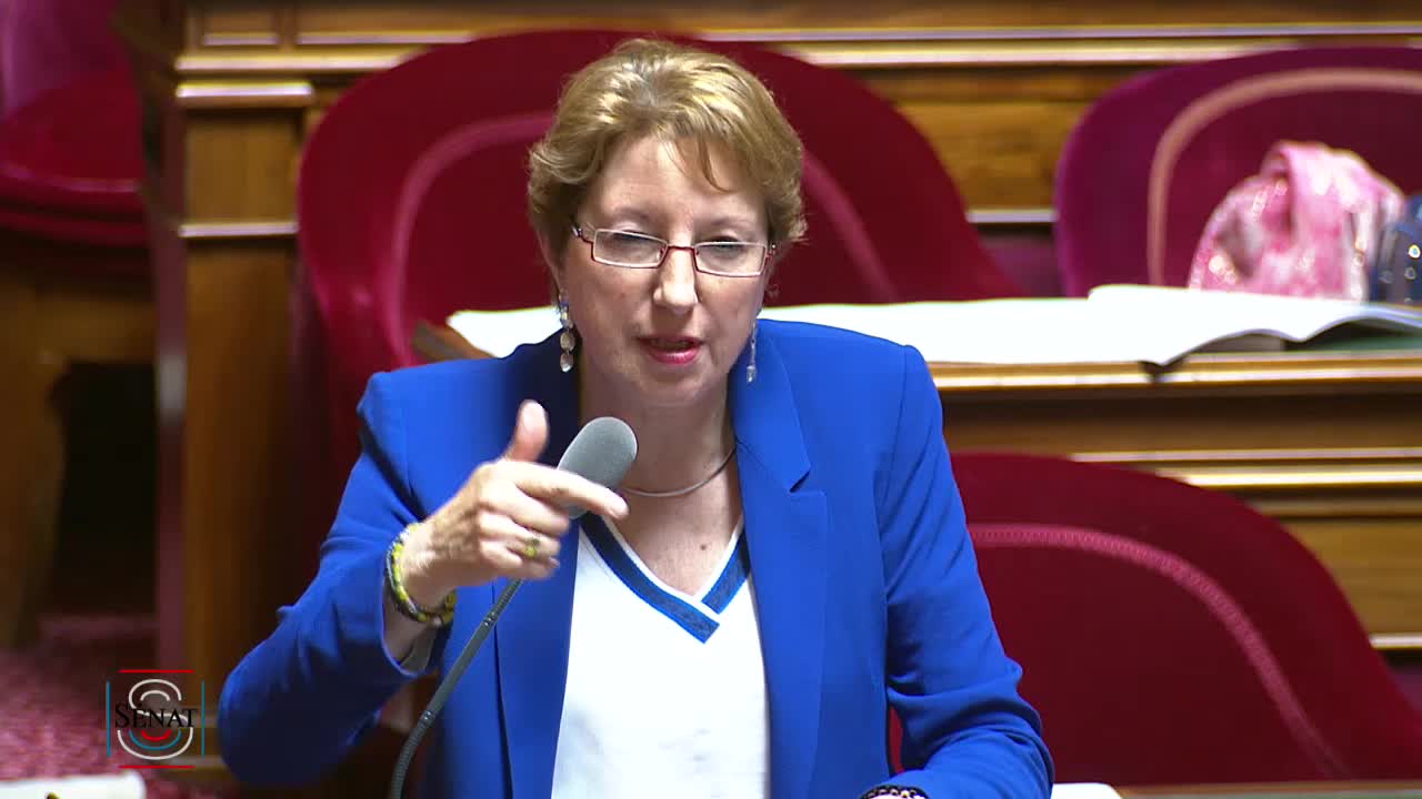 Séance publique du 17 mai 2019 (après-midi)