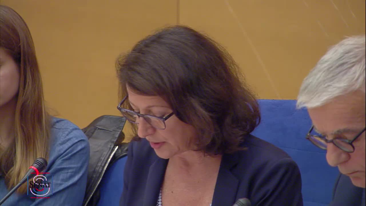 Audition Mme Agnès Buzyn, ministre - PJL Organisation du système de santé