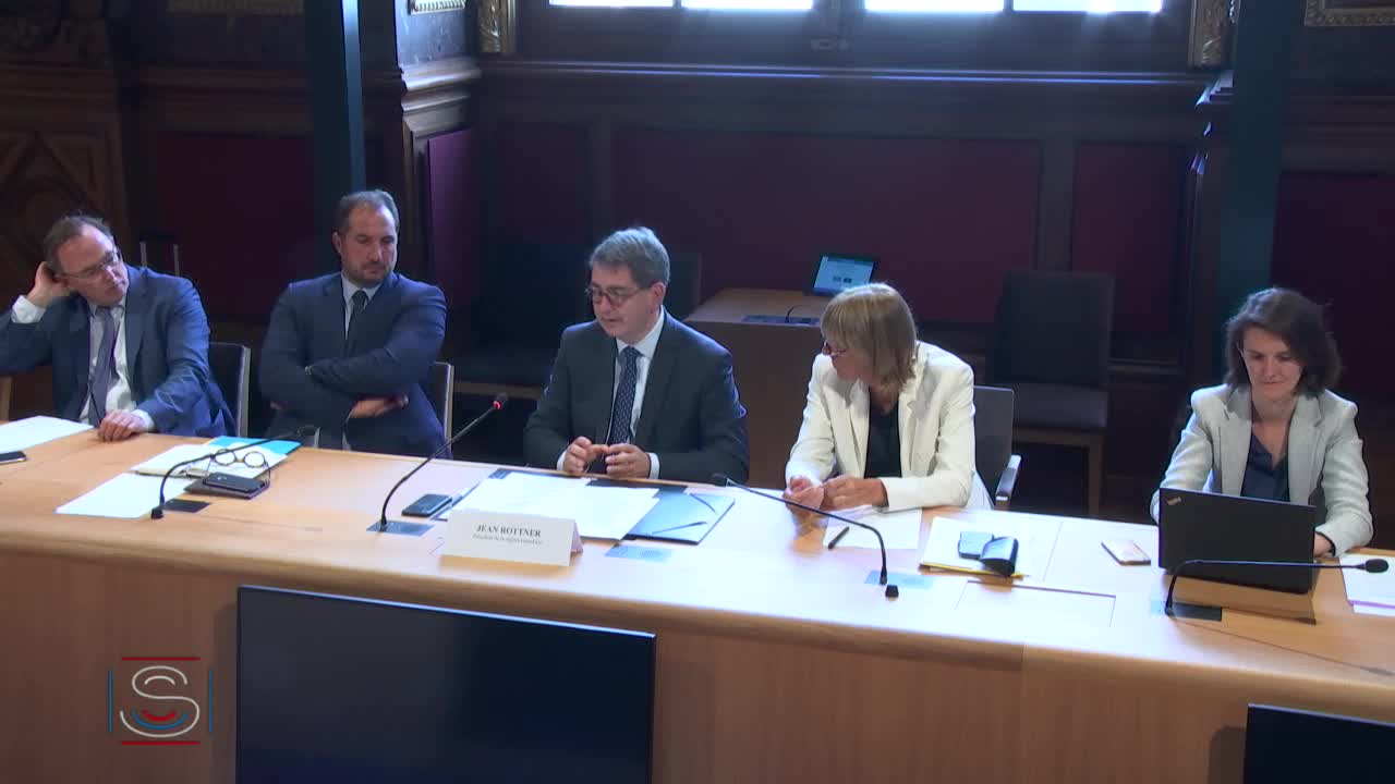 MI enjeux de la filière sidérurgique - Audition de M. Jean ROTTNER, président de la Région Grand Est