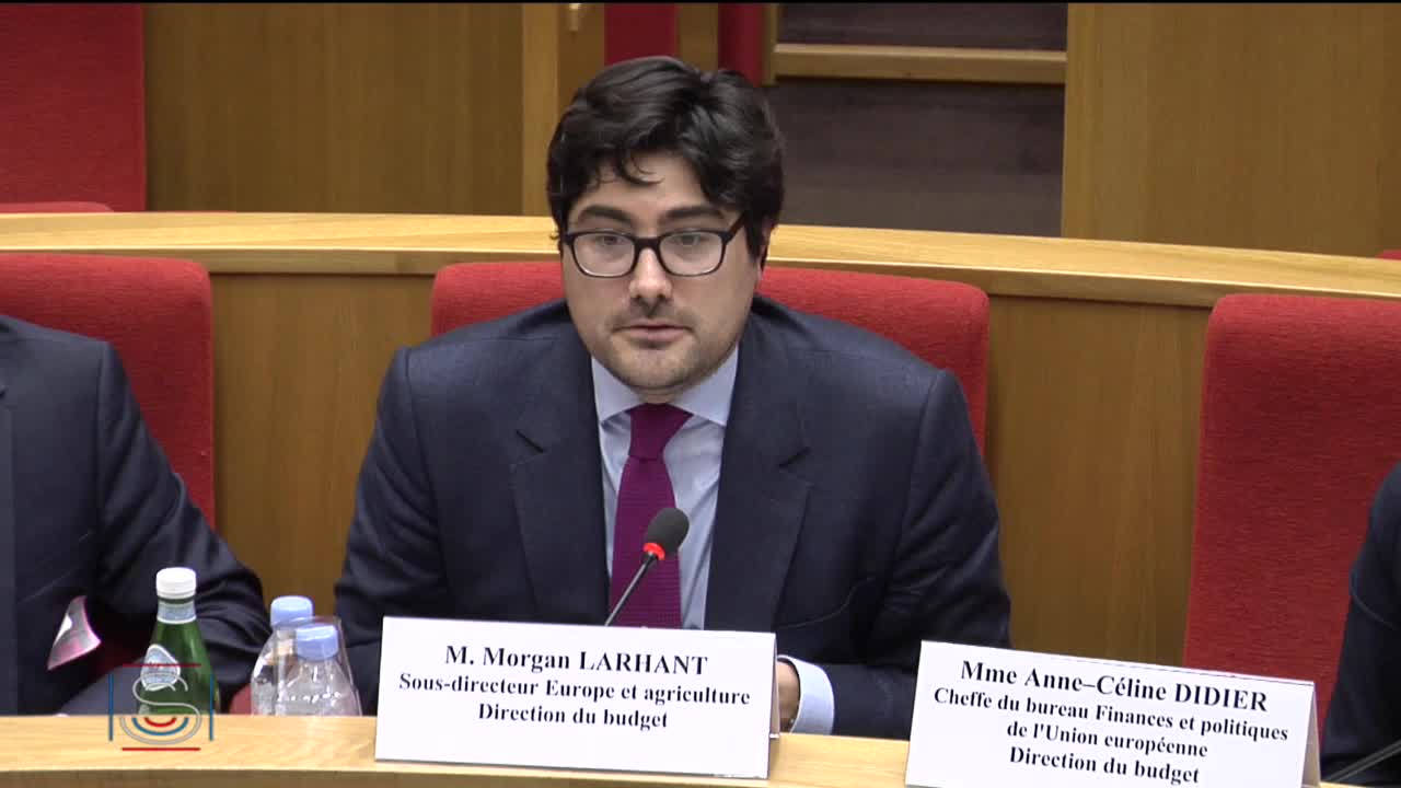 Audition de M. Morgan Larhant, sous-directeur Europe et agriculture à la direction du budget du ministère de l’action et des comptes publics, et Mme Anne–Céline Didier, cheffe du bureau Finances et politiques de l'Union européenne.