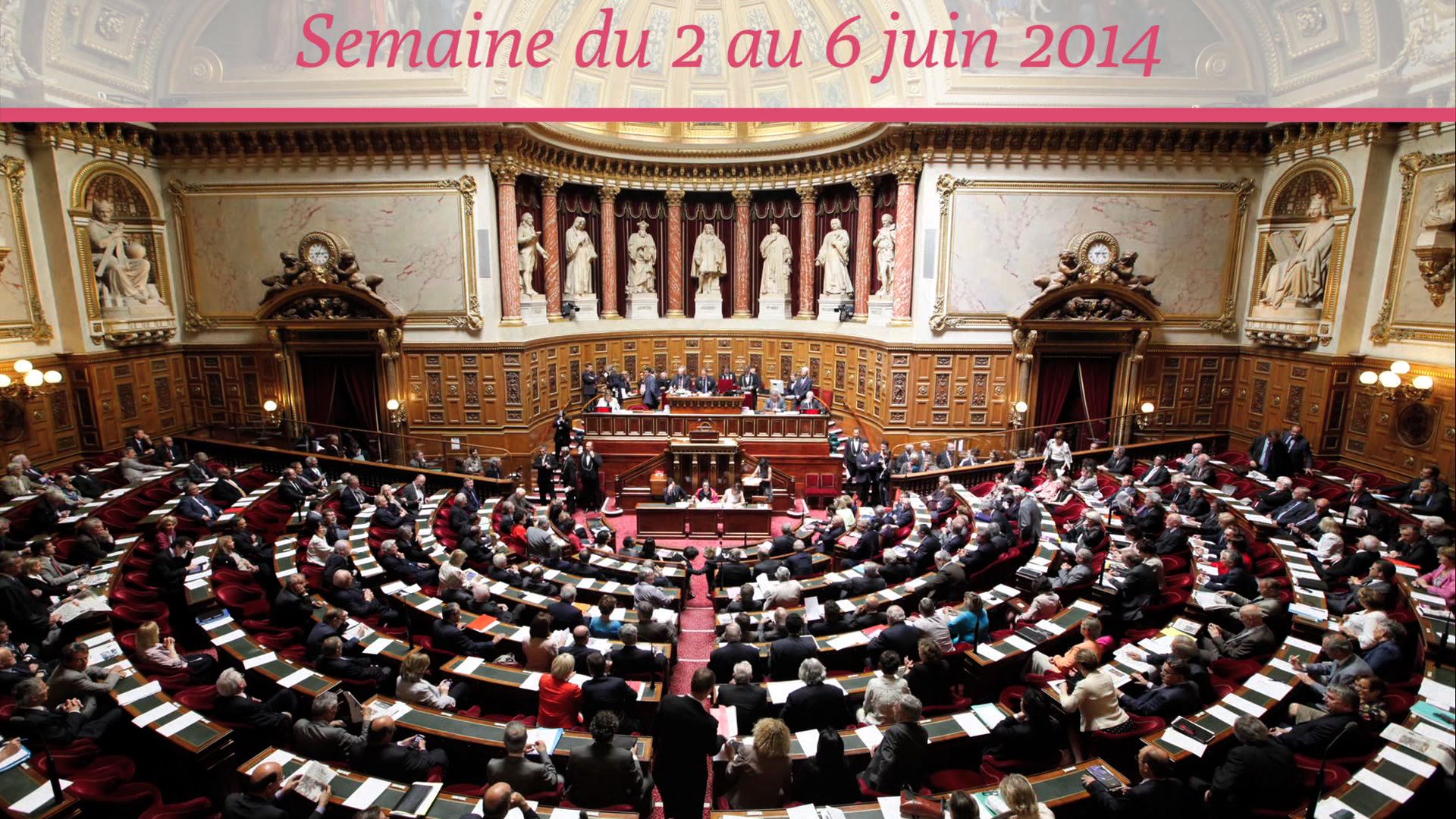 Sénat.Hebdo N°135 (06/06/14)