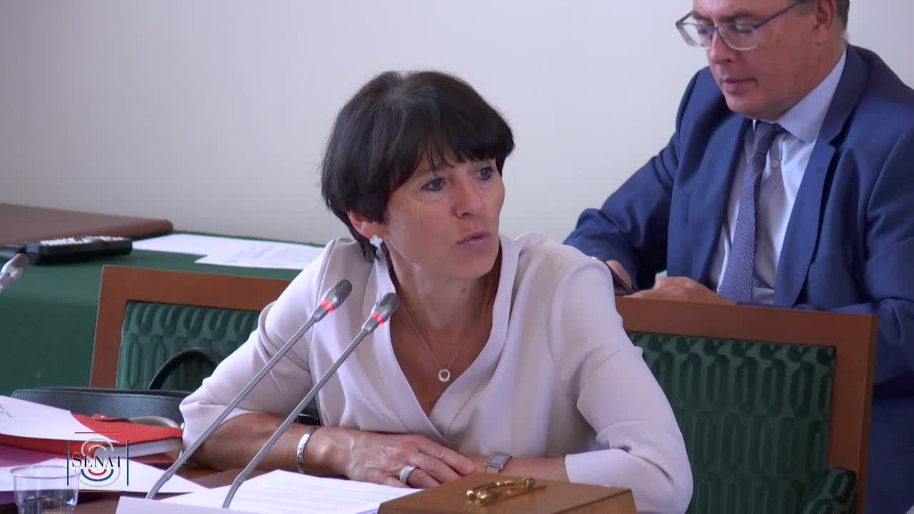 Audition de Mme Christel Bories présidente du comité stratégique de filière "Mines et métallurgie" et présidente directrice générale d'ERAMET