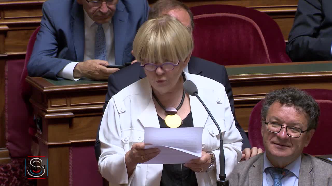Séance publique du 4 juillet 2019 (après-midi)