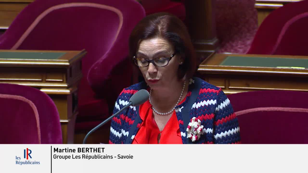Séance publique du 16 juillet 2019 (matin)