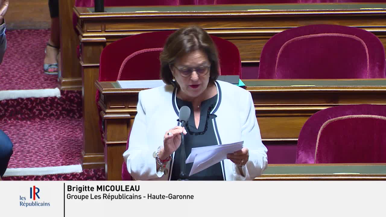Séance publique du 16 juillet 2019 (matin)
