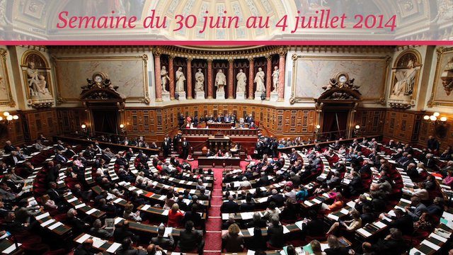 Sénat.Hebdo N°139 (04/07/14)