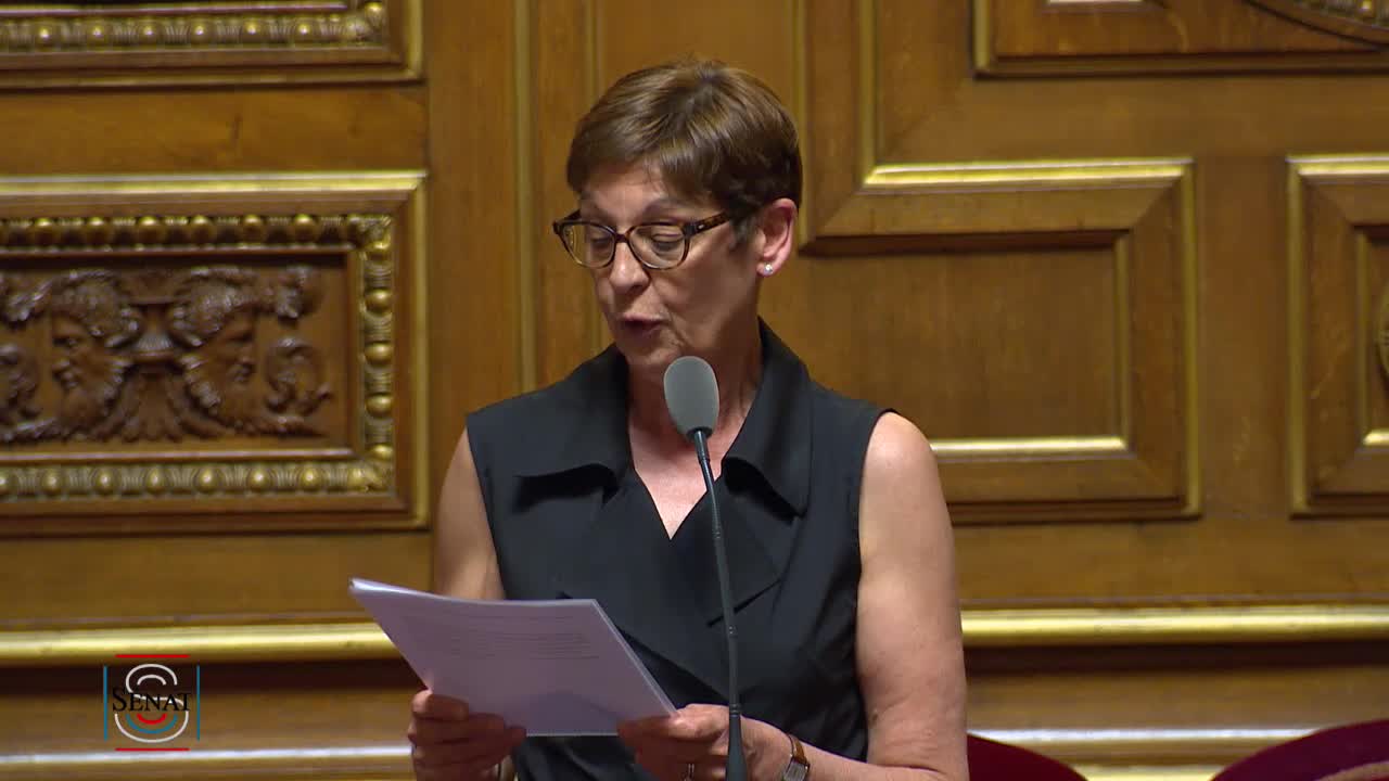 Séance publique du 23 juillet 2019 (après-midi)