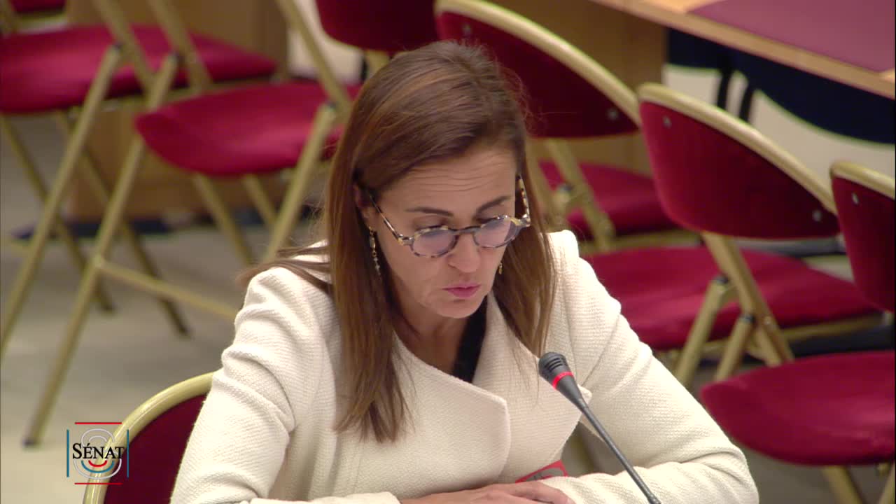 Audition de Mme Virginie Schwarz, candidate proposée aux fonctions de Président-directeur général de Météo France