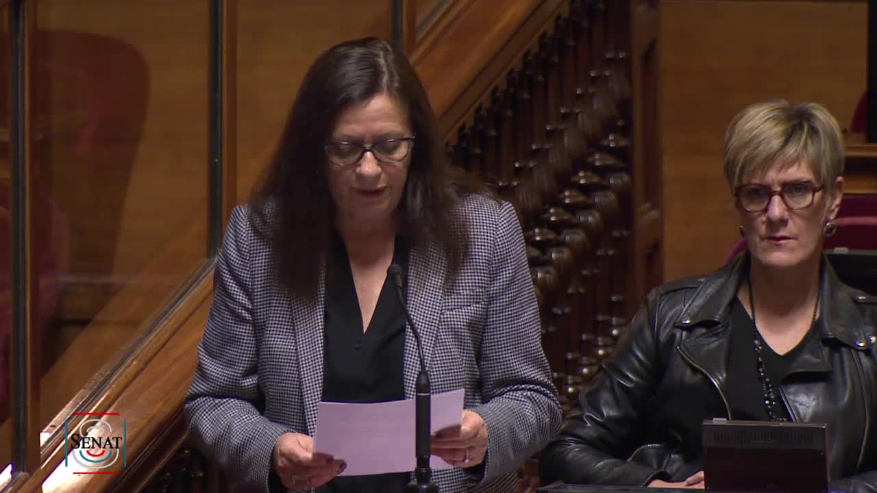 Séance publique du 6 novembre 2019 (soir)