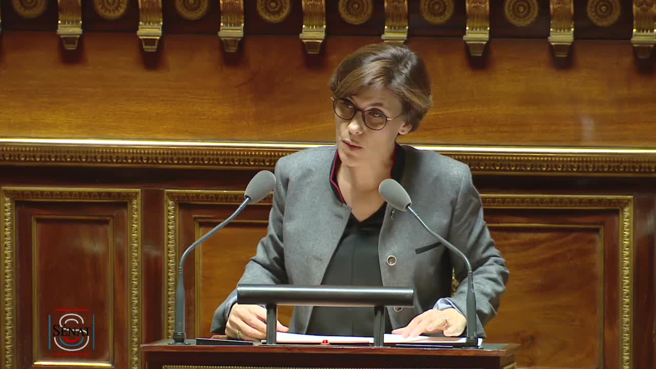 Séance publique du 19 novembre 2019 (après-midi)