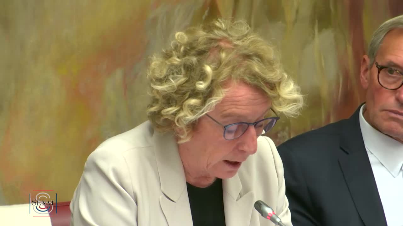 Audition de Mme Muriel Pénicaud, ministre du travail, sur le projet de loi de finances pour 2020