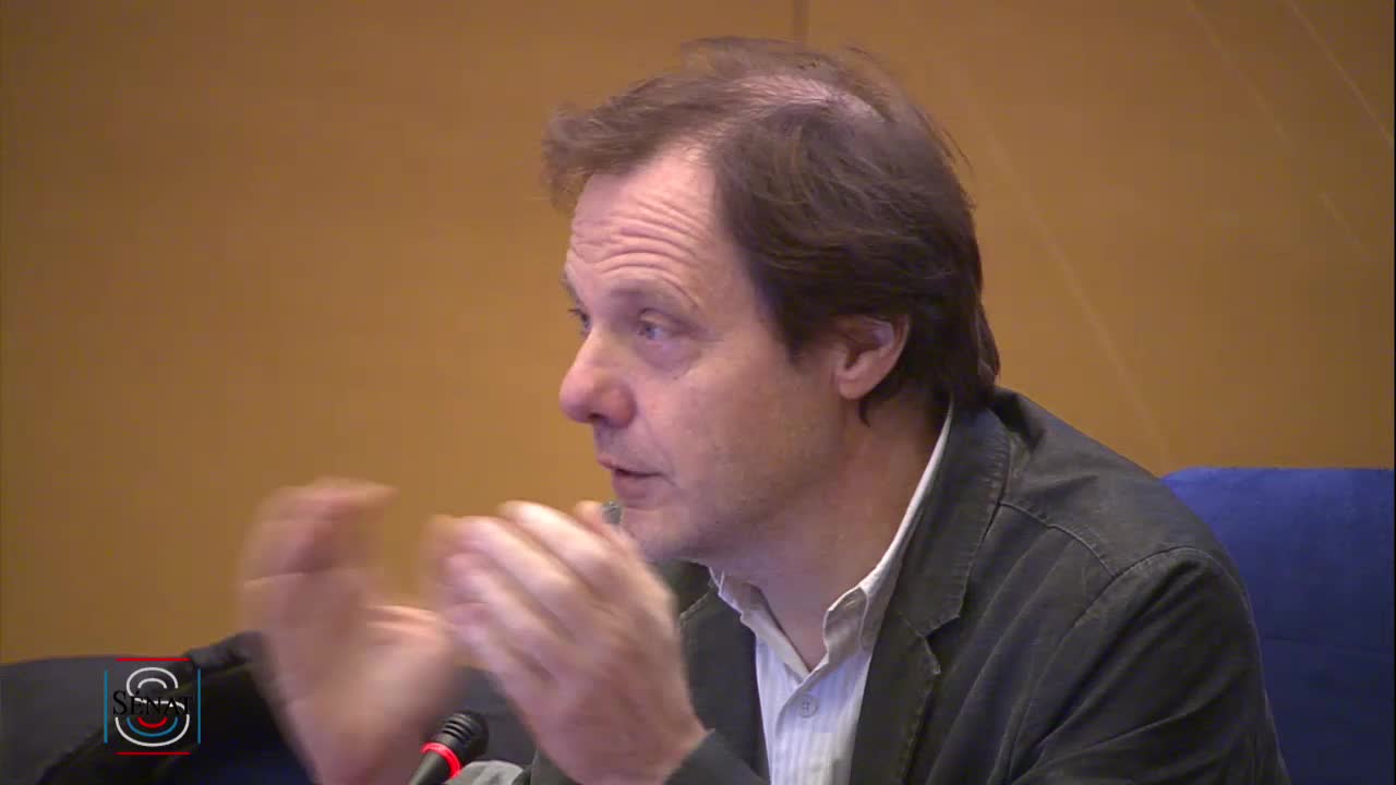 COP 25 - Audition de M. Michel Colombier, membre du Haut Conseil pour le climat, directeur scientifique de l'Institut du développement durable et des relations internationales (IDDRI) dans le cadre de la préparation de la COP 25