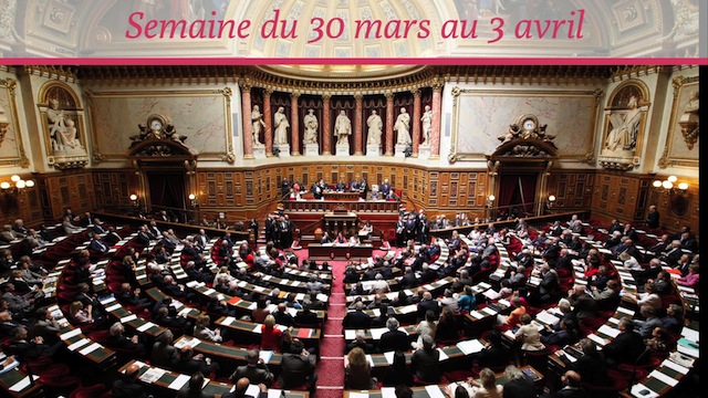 Sénat.Hebdo N°167 (03/04/2015)