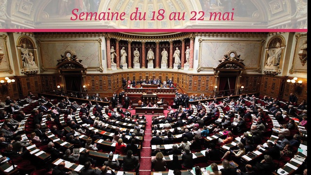 Sénat.Hebdo N°172 (22/05/2015)