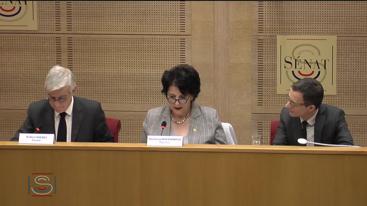 Audition de M. Alain Thirion, préfet, directeur général de la sécurité civile et de la gestion des crises