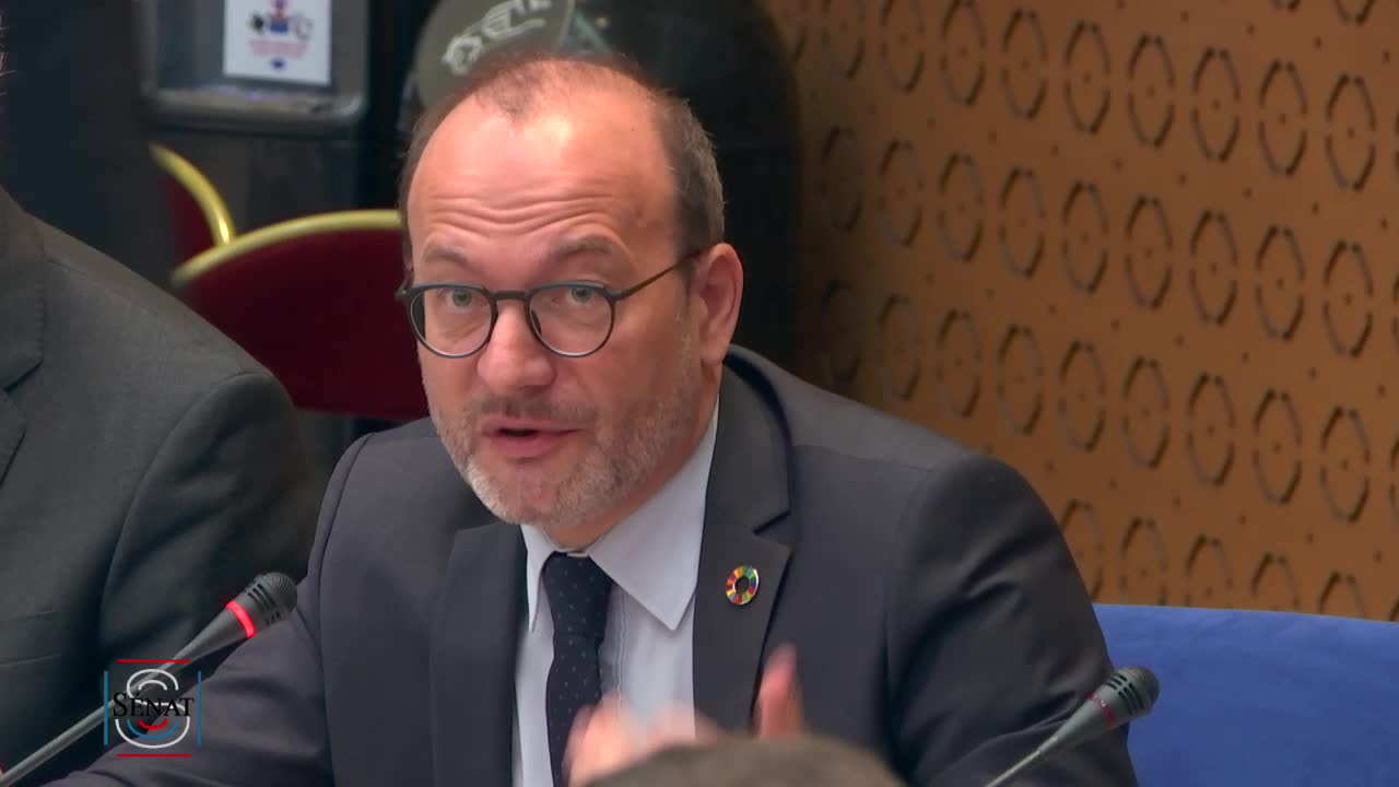 Agence française de développement - Audition de M. Rémy RIOUX, directeur général