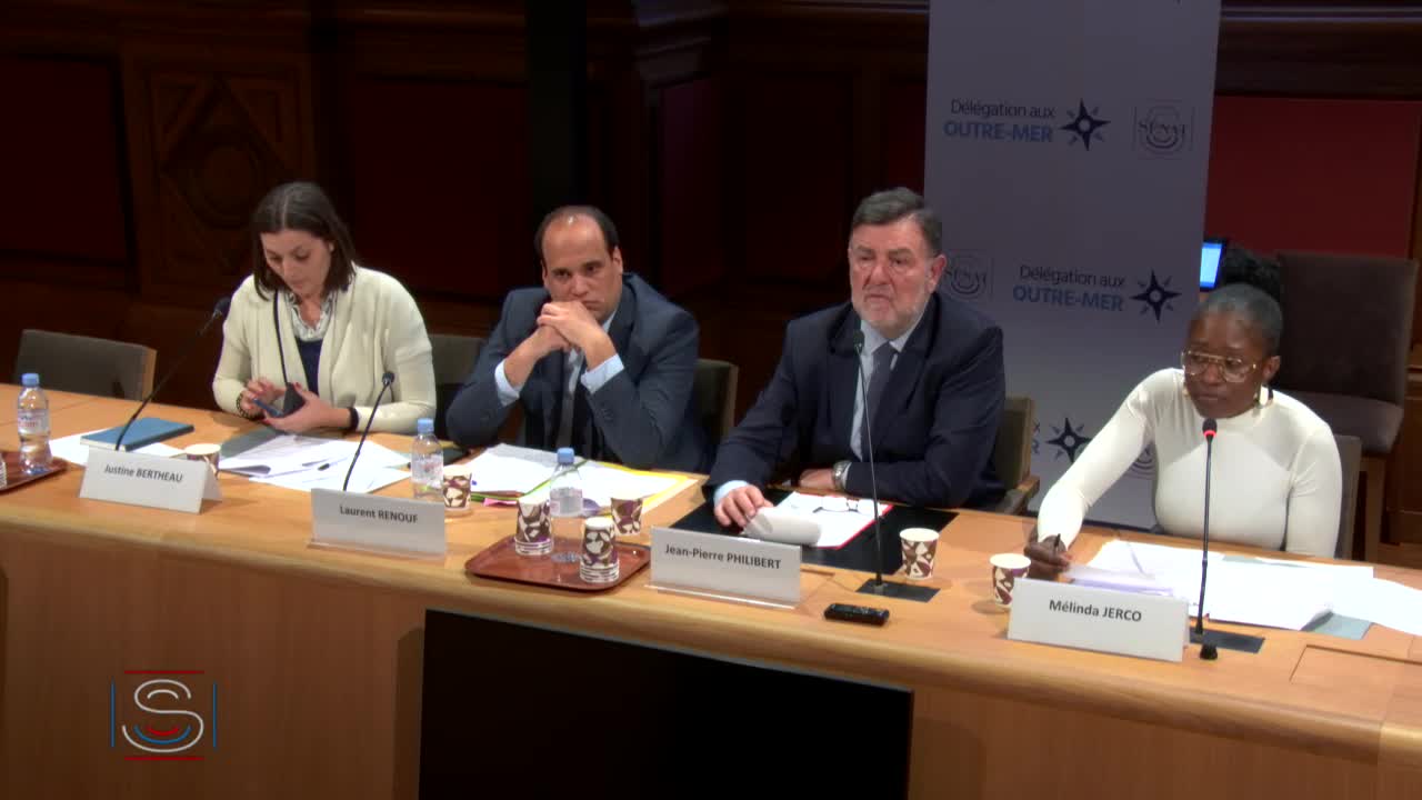 Audition dans le cadre de l'étude de la délégation sur les enjeux financiers et fiscaux européens en 2020 pour les outre-mer.