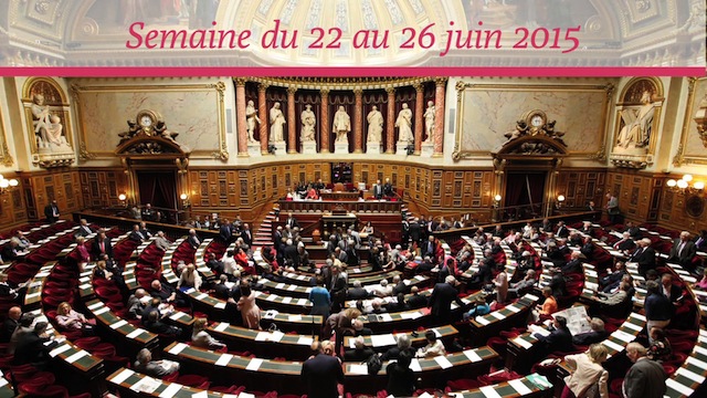 Sénat.Hebdo N°177 (26/06/2015)