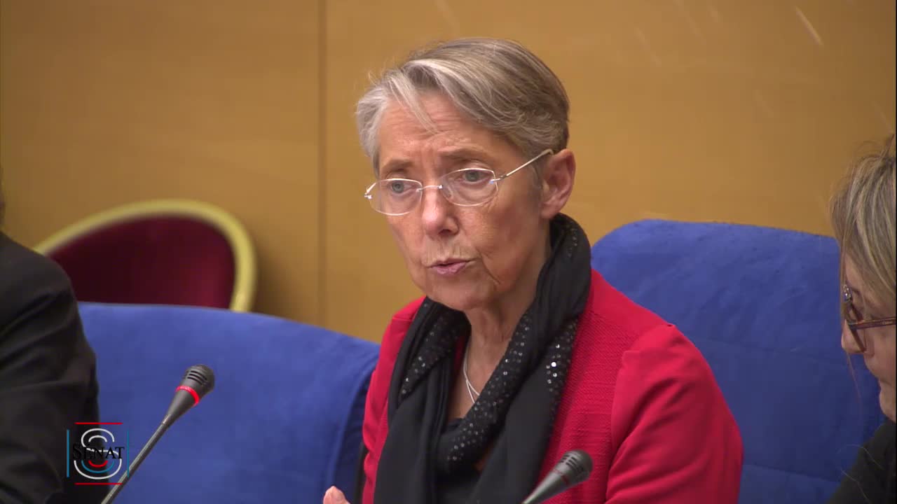 Programmation pluriannuelle de l'énergie - Audition de Mme Élisabeth Borne, ministre de la Transition écologique et solidaire