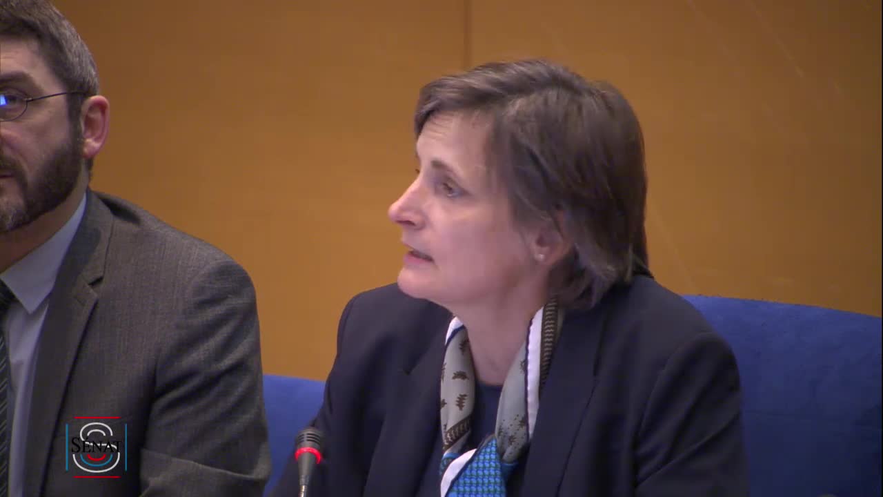 Haut Conseil pour le climat - Audition de Mme Corinne Le Quéré, Présidente
