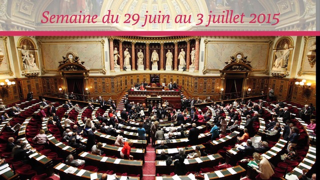 Sénat.Hebdo N°178 (03/07/2015)