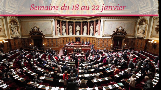 Sénat.Hebdo N°196 (22/01/2016)