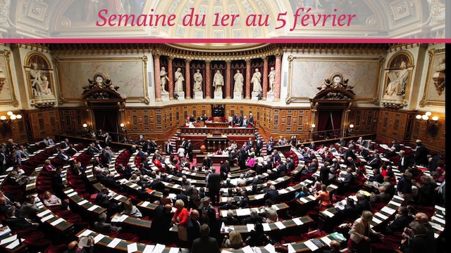 Sénat.Hebdo N°198 (05/02/2016)